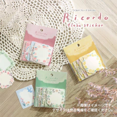 Pack de 40 stickers papel mate Ricordo