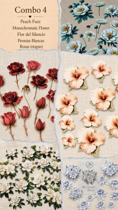 PRE VENTA Combo de Chulerias Papelitos Vintage - Casa Washi