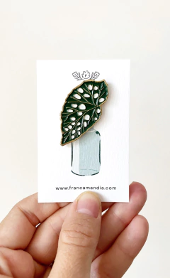 Pins Franca Mandia Serie D