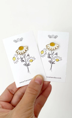 Pins Franca Mandia Serie D