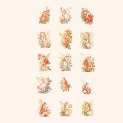 Pack de 30 Stickers PET Elves in Flowers