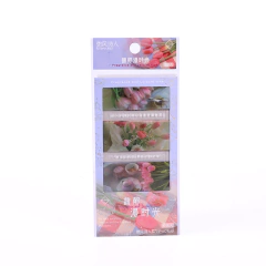 Sticker PET Photo Collection