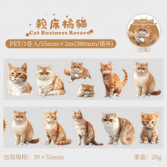 Cinta PET XXL Cat Business Record 55mmx2m
