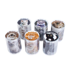 Cinta PET XXL Cat Business Record 55mmx2m
