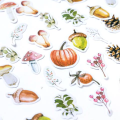 Stickers Cajita The Story Of The Forest (002) en internet