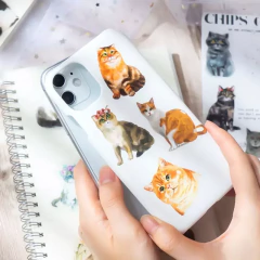 Pack 30 Stickers Kawaii Cat Speak meow en internet