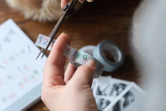 Washi tape MT Papier Tigre