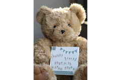 Washi tape MT Papier Tigre