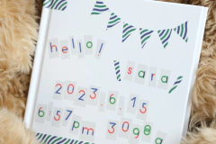 Washi tape MT Papier Tigre