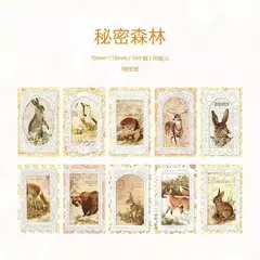 Pack de 50 papeles Nice Meeting Series