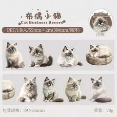 Cinta PET XXL Cat Business Record 55mmx2m