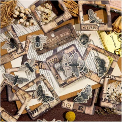 Pack 20 Die cuts Specimen book
