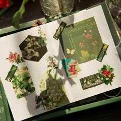 Set de Journaling Wild Forest