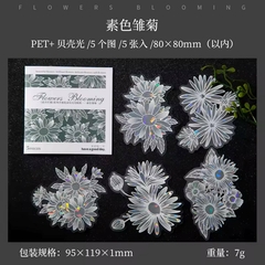 Pack 5 stickers Pet UV Holo Flowers Blooming - Casa Washi