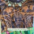 Disfraz Maui con musculos- Moana 2-Disney - comprar online