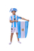 Disfraz Hincha Seleccion Argentina nene