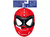 MASCARA BASIC SPIDER PUNK na internet