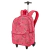 MOCHILA CAR EXTERNO - CAPRICHO - STUDENT- PIC-NIC - comprar online