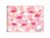 CADERNO CD ESPIRAL MEIA PAUTA 48FLS TILIBRA ALOHA