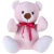 AMIGO URSO - ROSA- SANTA KLAUS - comprar online