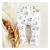 Babucha - Little red flowers en internet