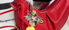 Banner de la categoría Accesorios