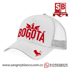 GORRA Bogotá en internet