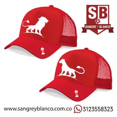 GORRAS LEÓN y LEONA - comprar online