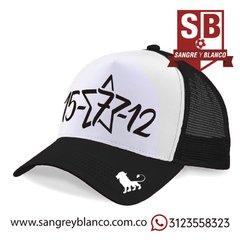 GORRA 15-7-12 en internet