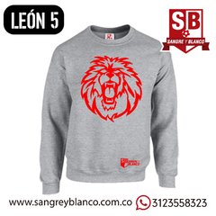 SACO - LEÓN 5