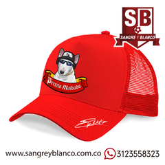 Gorra Perrito Malvado - comprar online