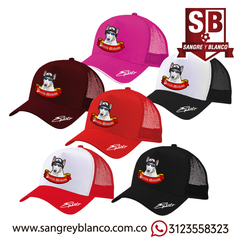 Gorra Perrito Malvado - tienda online