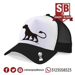 GORRAS LEÓN y LEONA