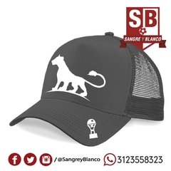 Gorra Silueta Leona en internet