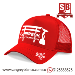 Gorra Suruga en internet