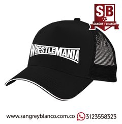 Gorra WWE en internet