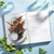 Flavors of the Sun: The Sahadi’s Guide to Understanding, Buying, and Using Middle Eastern Ingredients - comprar online