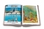Palm Beach - comprar online