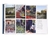 Living Wild: New Beginnings in the Great Outdoors - Le Book Marque