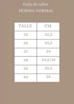 Bota Troya Chock/ Taco Escondido 5,5. cm - ENTREGA INMEDIATA - comprar online