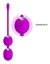 Bolas Vaginales Vibradoras c/ Control :: Willie Pretty Love - Exitoys 