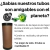 3a 35cm X 80mm X 17u Tubos De Carton Con Tapas Plasticas - comprar online