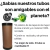 4b 5cm X 103mm X 20u Tubos De Carton Con Tapas Plasticas - tienda online
