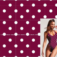 Imagen de NEW MICROFIT