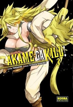 AKAME GA KILL 12