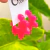 Aros GARDENIA CHICOS - tienda online