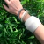 Brazalete DIAMANTINO