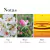 WHITE TEA WILD ROSE EDT - Perfumerías Ruiz y Roca 