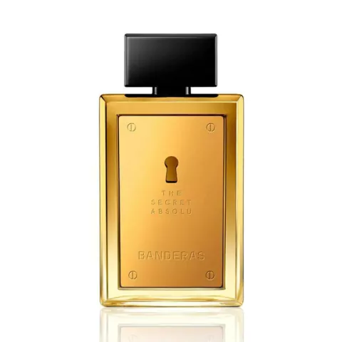 THE SECRET ABSOLU EDP - comprar online
