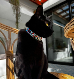 Banner de la categoría COLLARES GATO